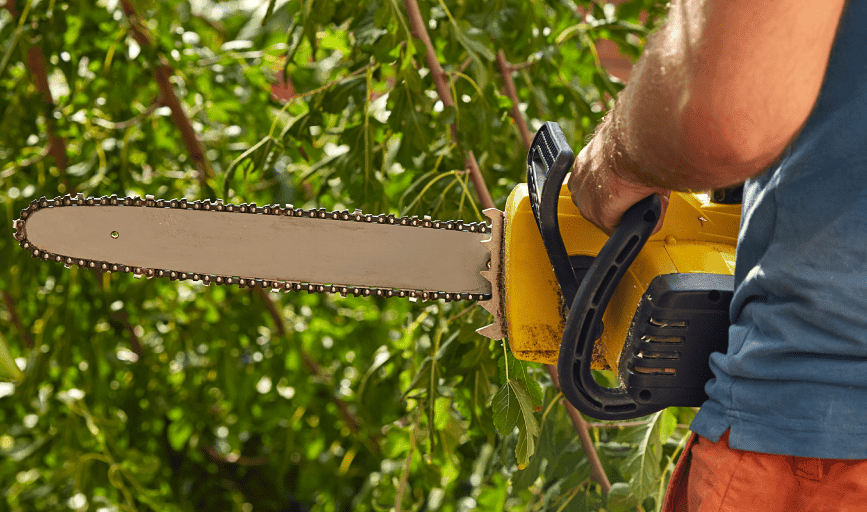 Mooresville NC Tree Contractor Residential Tree Services in Mooresville - canopy reduction to protect homes