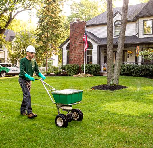 Mooresville NC Tree Contractor Residential Tree Services in Mooresville - tree trimming
