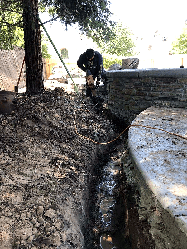 Mooresville NC Tree Contractor Root Removal Services in Mooresville - safe invasive root removal