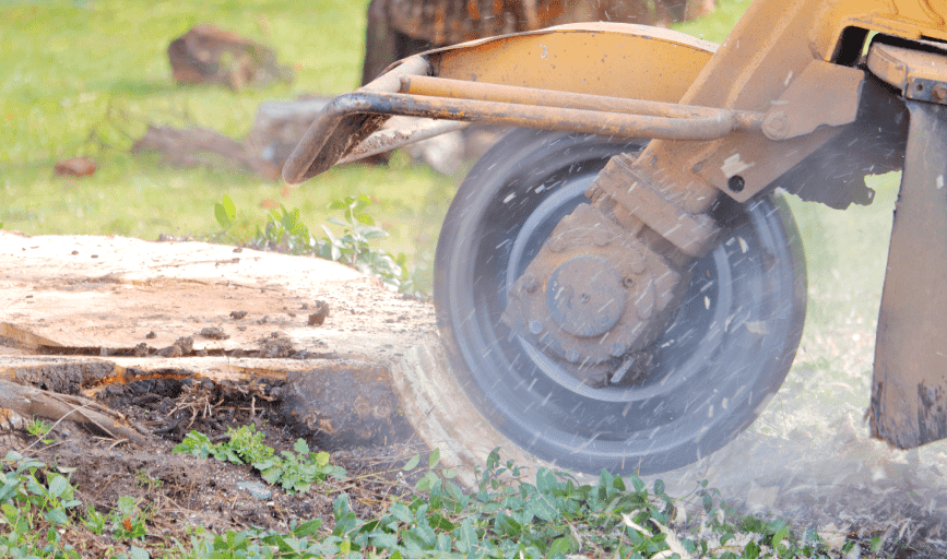 Mooresville NC Tree Contractor tree contractor in Mooresville - concrete paving experienced concrete contractor services