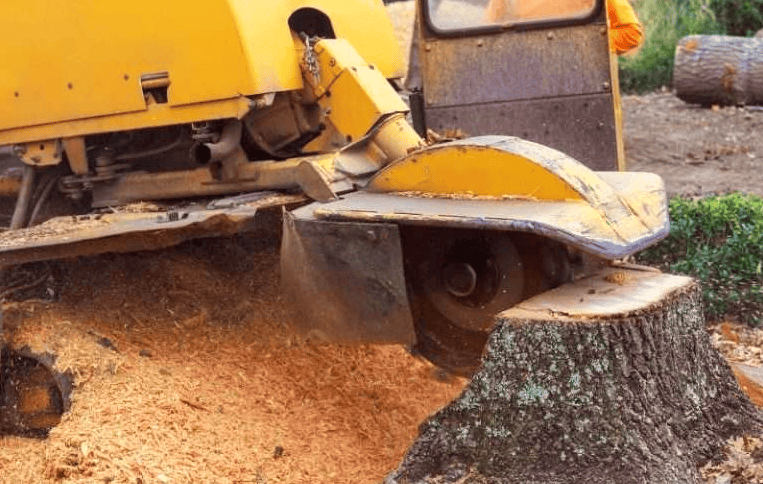 Mooresville NC Tree Contractor tree contractor in Mooresville - concrete pouring experienced concrete contractor services