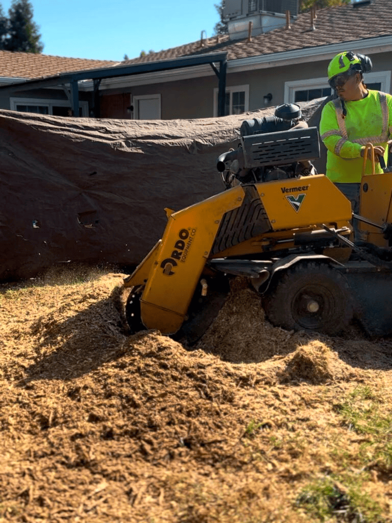 Mooresville NC Tree Contractor tree contractor in Mooresville - concrete services competitive concrete prices for your needs